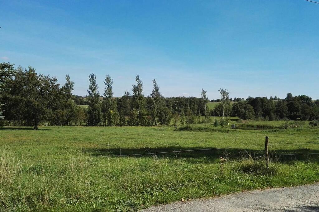 Ferienwohnung In Mittelsaida Grosshartmannsdorf エクステリア 写真