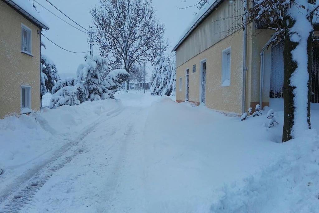 Ferienwohnung In Mittelsaida Grosshartmannsdorf エクステリア 写真