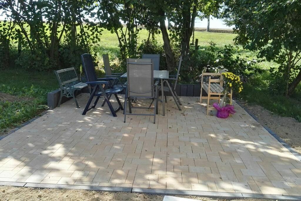 Ferienwohnung In Mittelsaida Grosshartmannsdorf エクステリア 写真